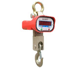 ֱ���͵�����