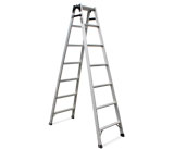 ���Ͻ�ֱ����(A����)